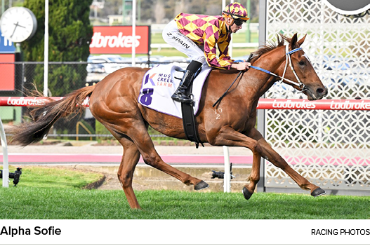 Alpha Sofie racing photo