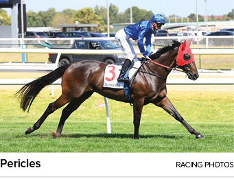 Pericles racing photo