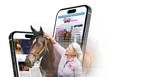 WhatsApp Chat Interface on Mobile Phone Mockup