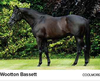 Wootton Bassett Coolmor