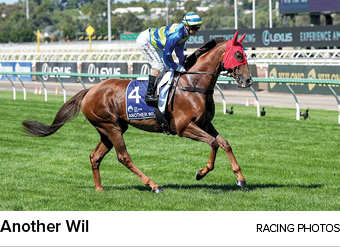 Another Wil racing photo