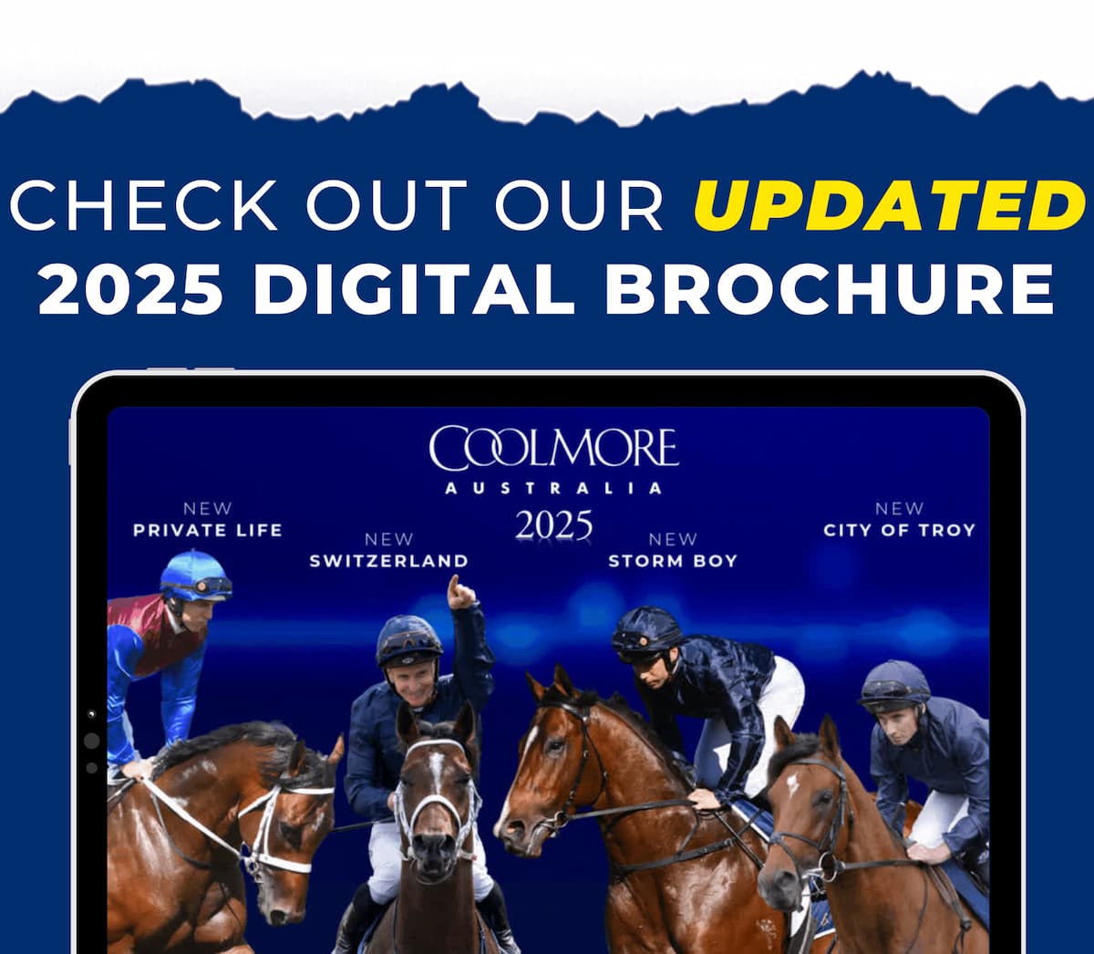 Vendors confident of strong trade as Inglis Ready2Race Sale - ANZ News -  Thursday, October 16, 2025