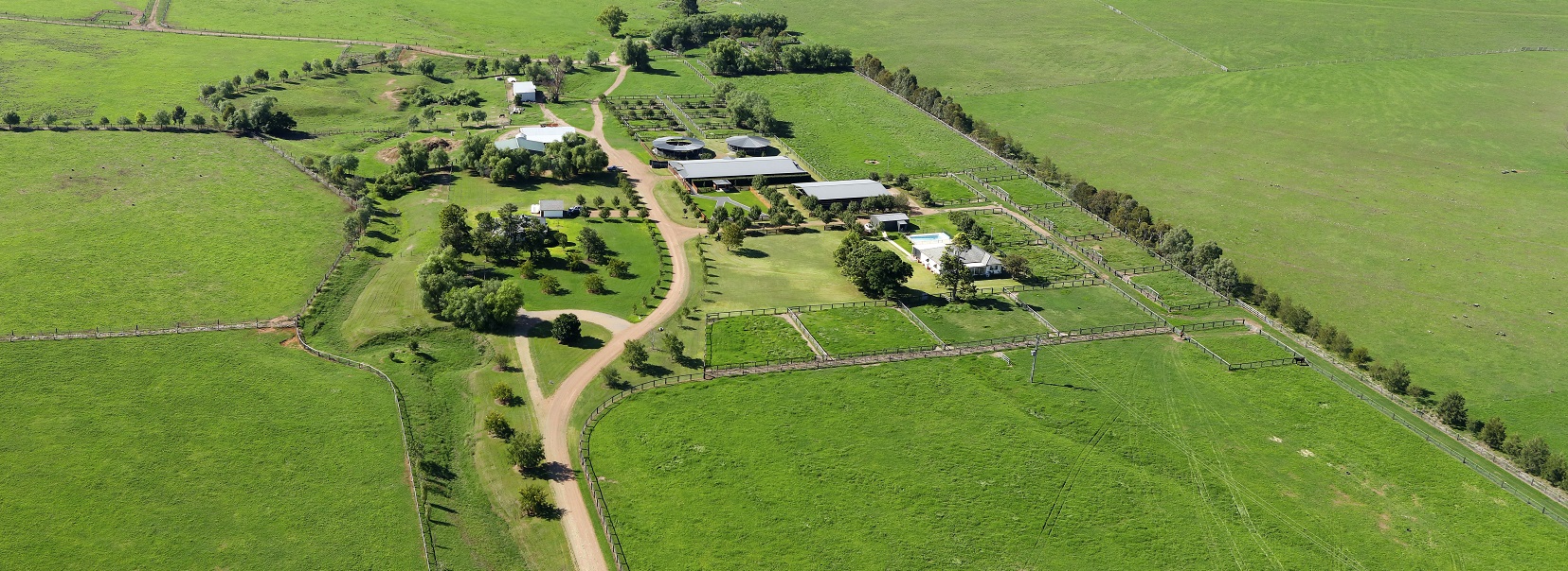 Queenslanders buy wellknown Scone stud Glastonbury Farms ANZ