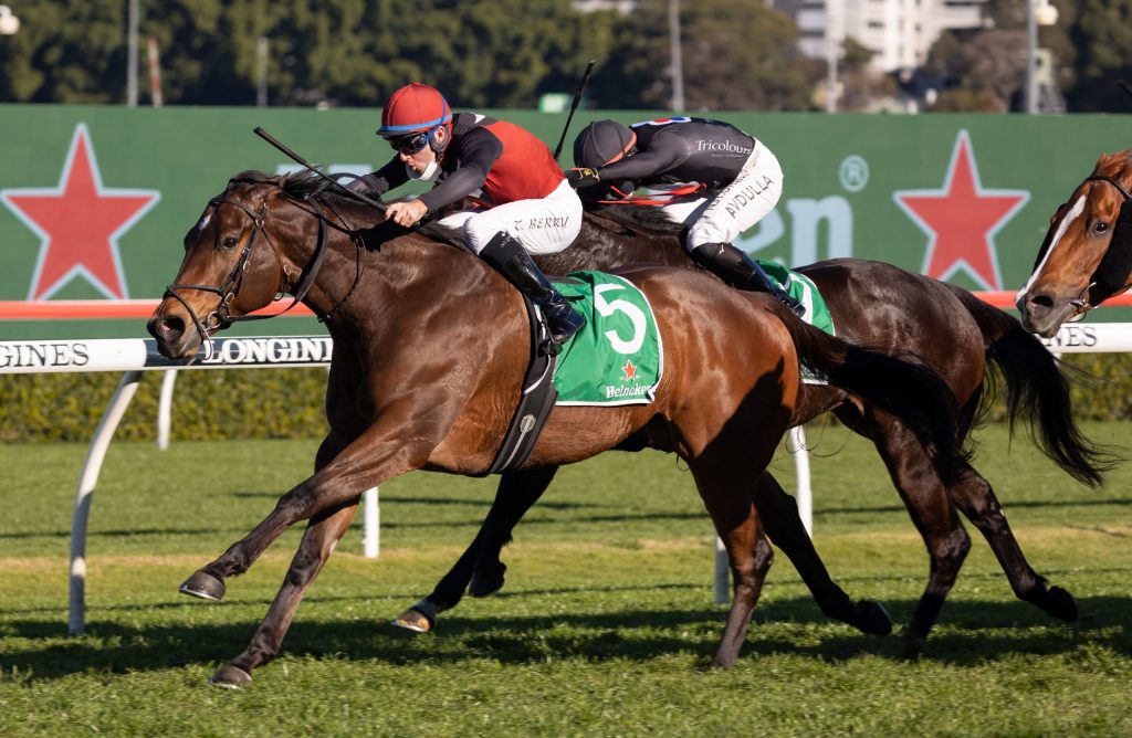 Phobetor answers Costa’s call with Missile Stakes win ANZ Bloodstock News