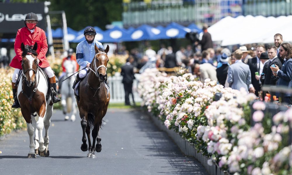 Great House returns to scale after winning the Lexus Hotham Stakes, cementing his berth in the Melbourne Cup.