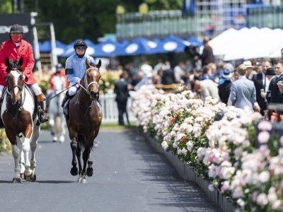 Great House returns to scale after winning the Lexus Hotham Stakes, cementing his berth in the Melbourne Cup.