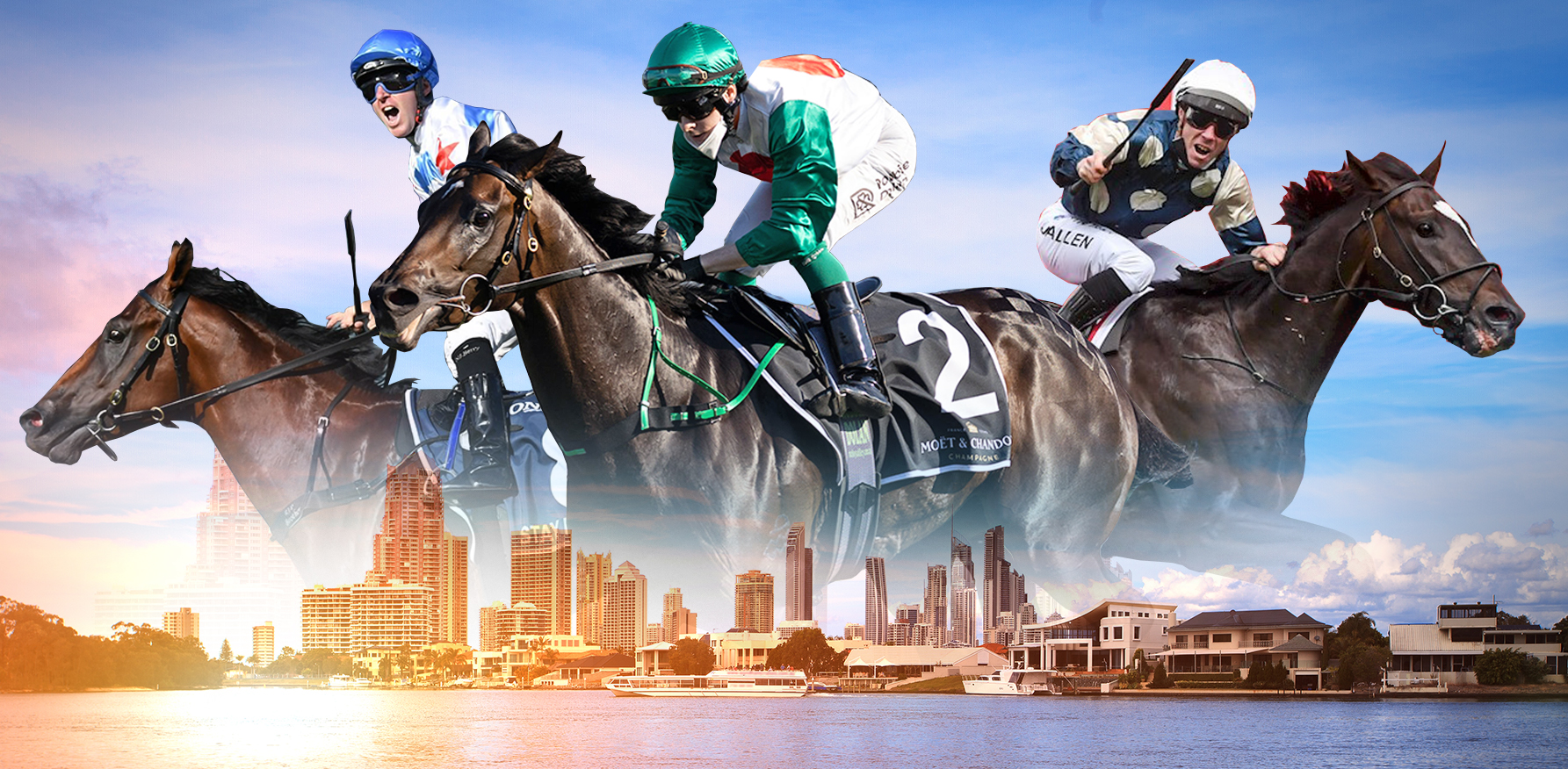 Bumper Magic Millions catalogue set to be revealed ANZ Bloodstock News