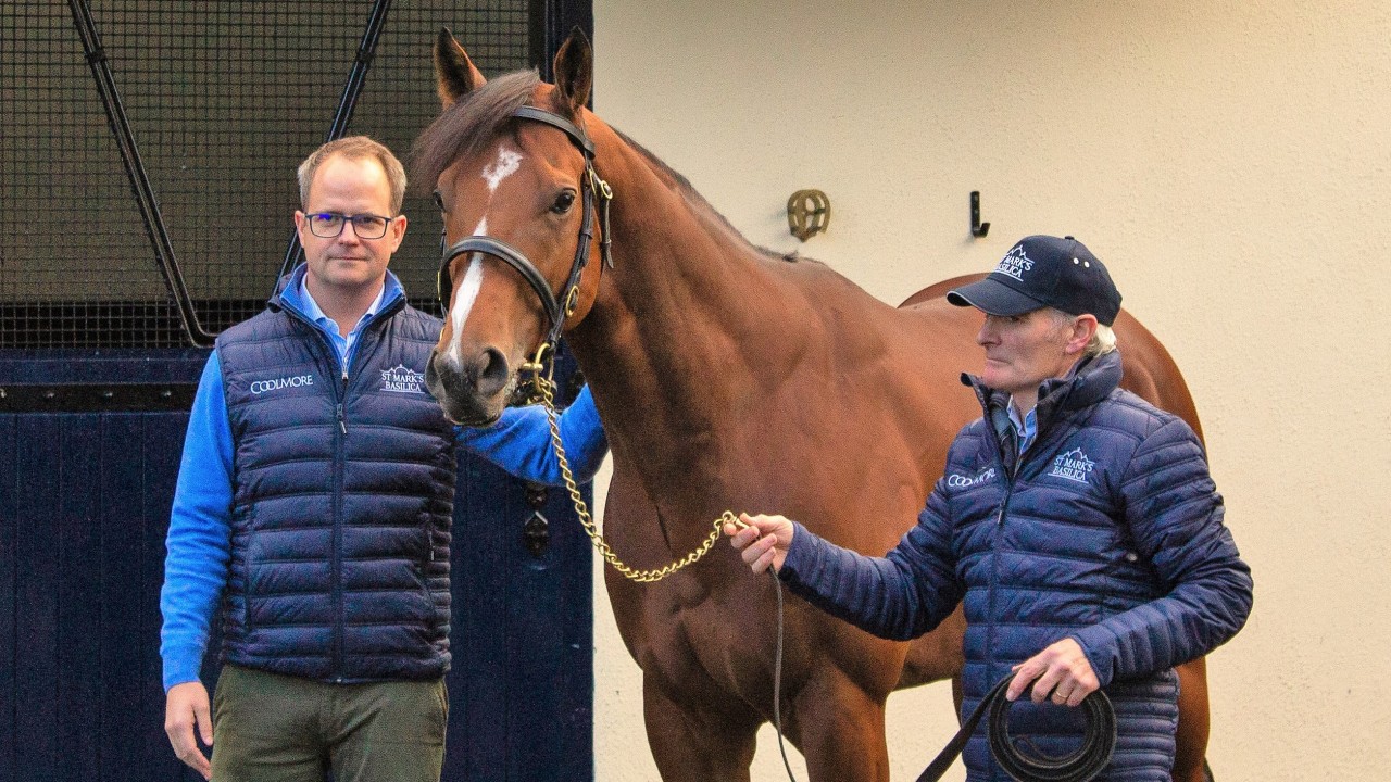 First mares in foal for St Mark's 