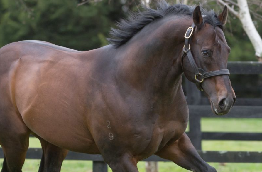Bel Esprit signs off as a sire of one the greatest we’ve seen ANZ