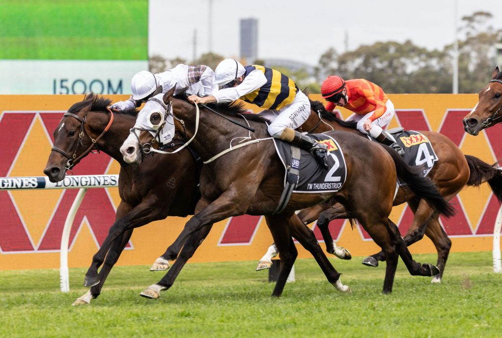 OTI hoping to boost reputations of ‘underrated’ New Zealand sires ANZ