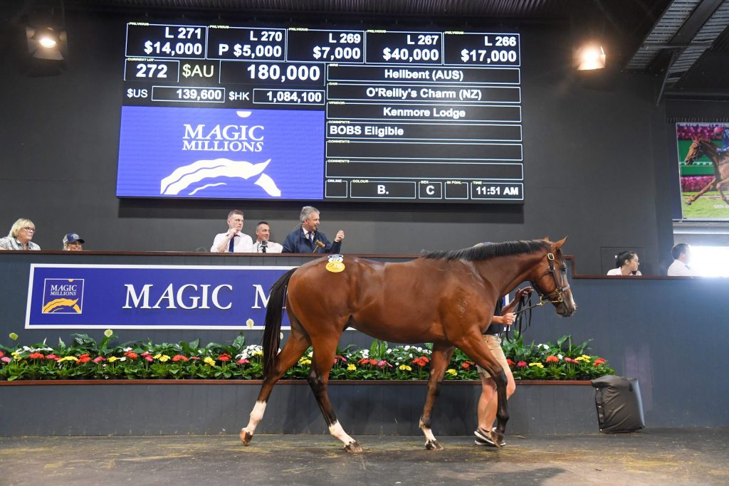 Magic Millions To Build On extraordinary Results As Entries Open For 