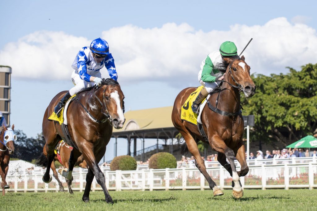 Honey goes Boom to propel sire towards leading juvenile honours ANZ