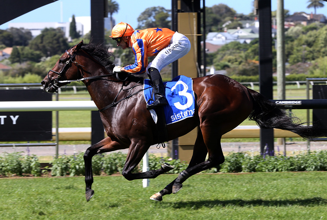 Entriviere to be offered on Gavelhouse Plus after injury ANZ