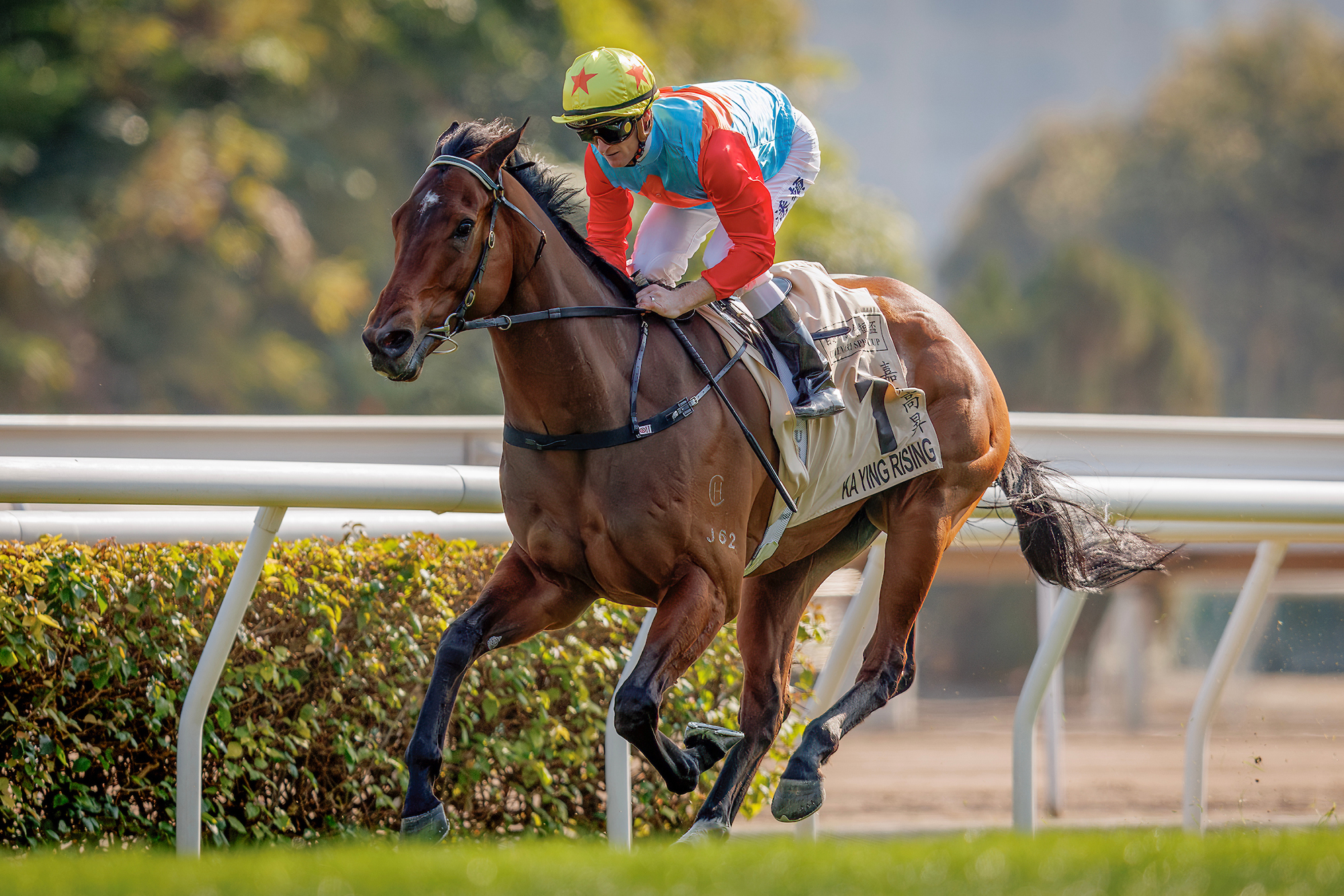Ka Ying Rising stuns with second Sha Tin course record in three