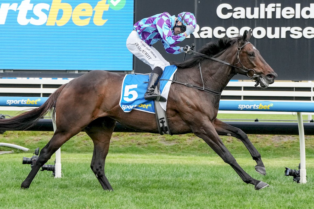 Peter Young Stakes comeback