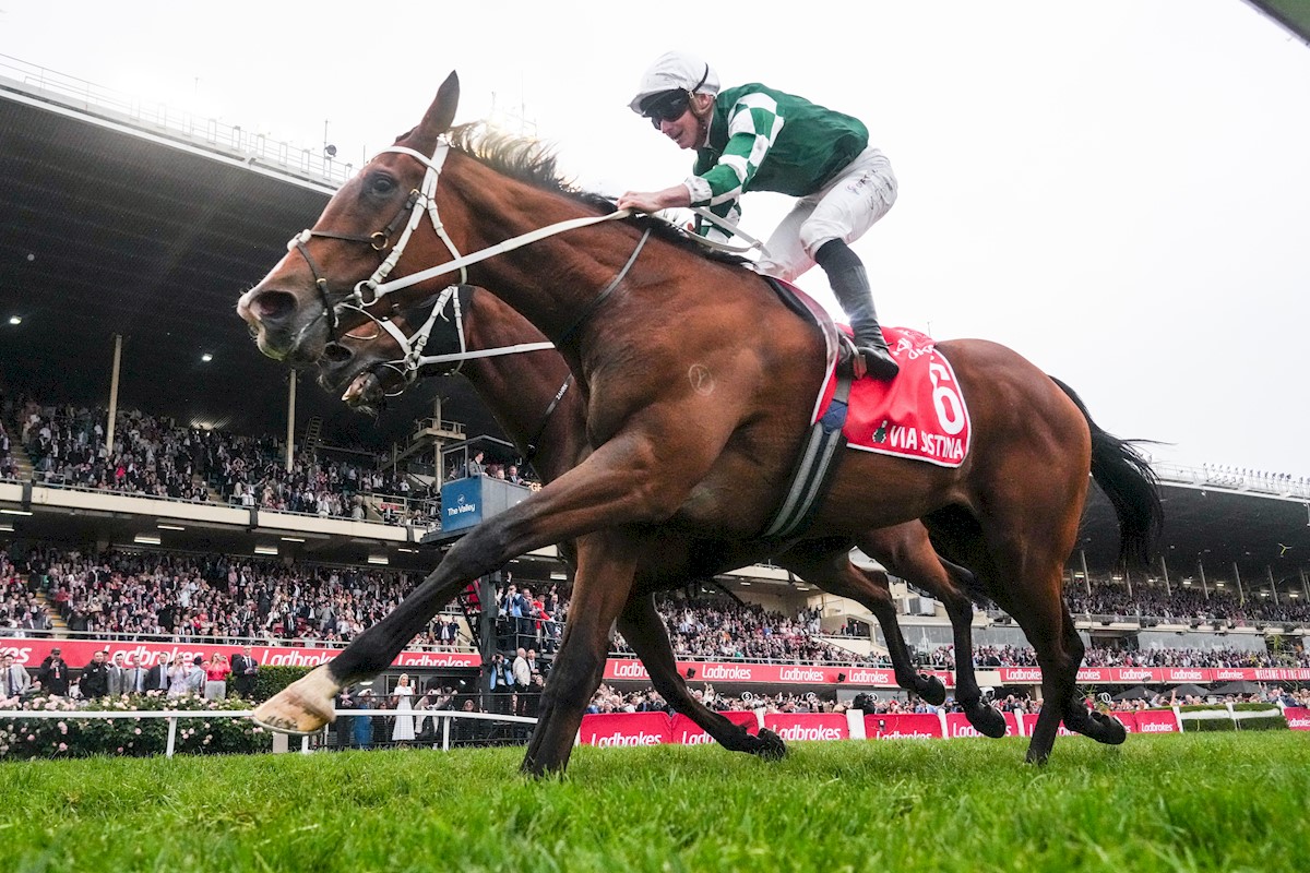 Spartan Race Necklace - Etsy, image size:1200x800