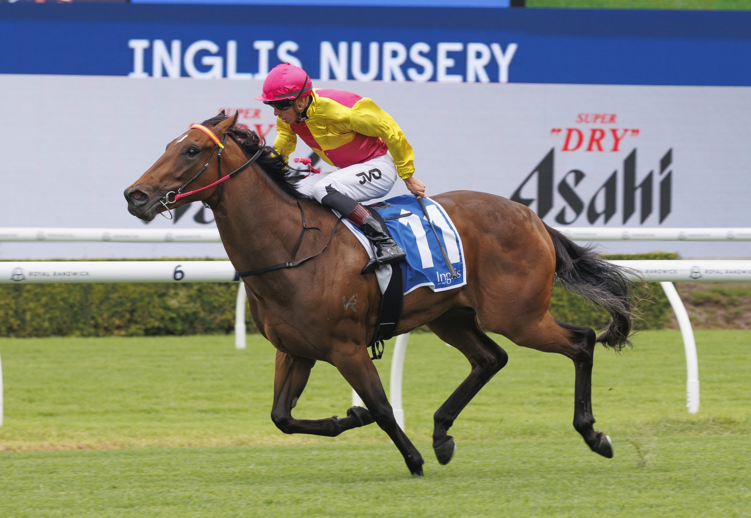 The Circus comes to town! $1,250 online buy stuns rivals with all-the-way  Inglis Nursery win on debut - ANZ News - Sunday, December 14, 2025